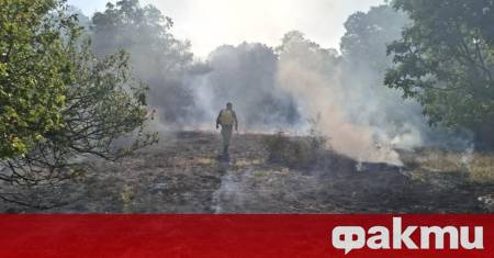 От 07 00 часа тази сутрин над 50 военнослужещи с 8