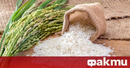 Изобилните запаси на ориз на някои ключови износители може до