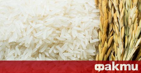 Индия забрани износа на натрошен ориз и наложи 20 процента