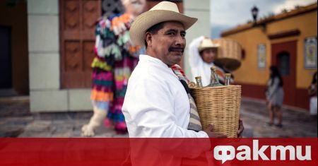 Правителството на Мексико забрани употребата на пластмасови изделия за еднократна