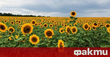 Денят носи динамично и неустойчиво време над по голямата част