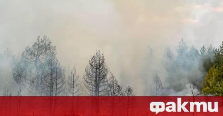 Огън бушува в Плана планина в близост до махала Календерова