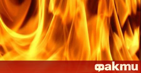 Действията по локализиране на горския пожар над село Виден община