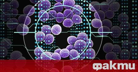 Генерирани от изкуствен интелект молекули излекуваха мишки от устойчиви на