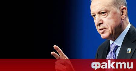 Турският президент Реджеп Тайип Ердоган заяви че Турция осъжда всички