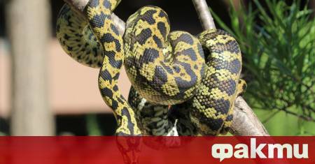 Необичаен сигнал вдигна на крак общинските служби в Стара Загора