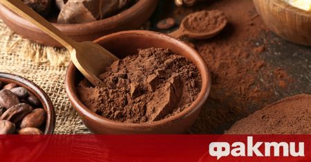 Британски учени установиха че флаванолите в какаото и черния шоколад