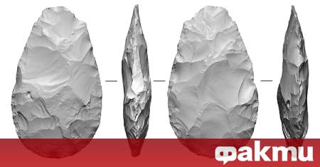 Археолози от Университетския колеж в Лондон и Природонаучния музей в