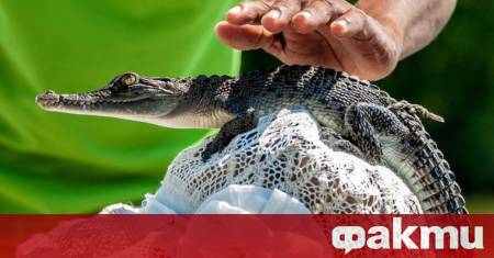 Кметът на мексиканския град Сан Педро Уамелула в щата Оахака