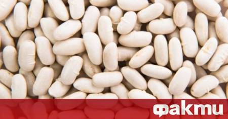 Екстремната суша през 2025 година унищожи голяма част от реколтата