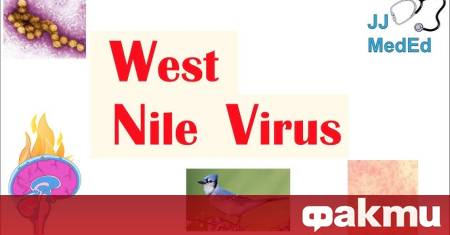 Осемдесет и две годишна жена е починала в Италия от