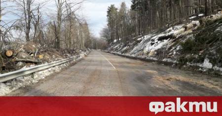 На Коледа обилни снеговалежи и усложнена зимна обстановка създадоха сериозни