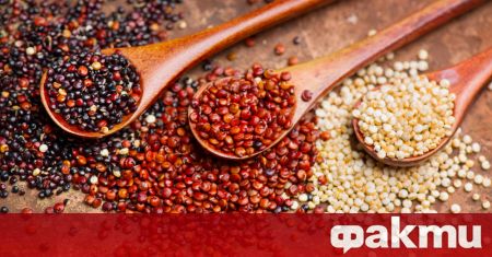 Киноата (Chenopodum quinoa) е едногодишно растение с широки листа. По-често