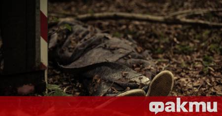 Тяло на мъж е открито в русенското село Щръклево съобщи