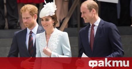 От години феновете на британското кралско семейство спекулират за личните