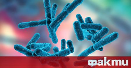 Научно изследване показа как бактериите се връщат към живота съобщава