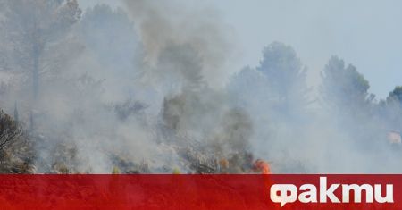 Наближаващ горски пожар в Източна Испания накара машинист на влак