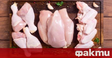 Пилешкото месо е едно от най предпочитаните меса от много домакини