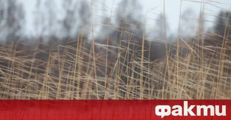 Предупреждение за опасно силни пориви със скорост до около 90