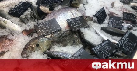 От 1 до 6 декември Българската агенция по безопасност на