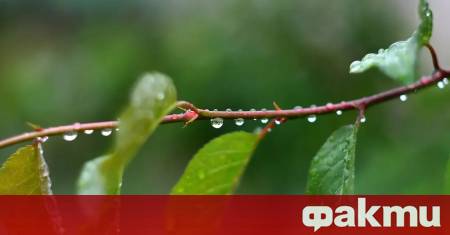 Ще бъде предимно слънчево сутринта с ниска облачност над източните