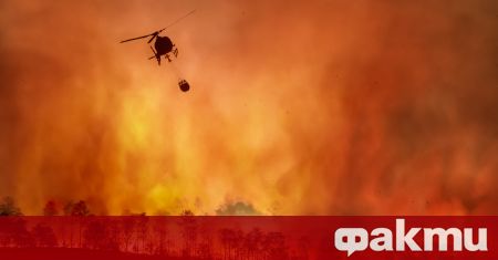 Голям горски пожар се разрази днес в окръг Чанаккале Северозападна