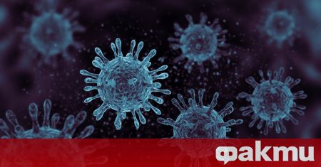 Американка счупи всякакви COVID рекорди боледувайки от коронавирус 335 дни