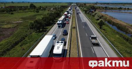 Протест на работещите в държавните горски и ловни стопанства ще