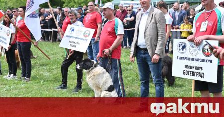 Седемдесет и осем елитни български овчарски кучета дефилираха край Петропавловския