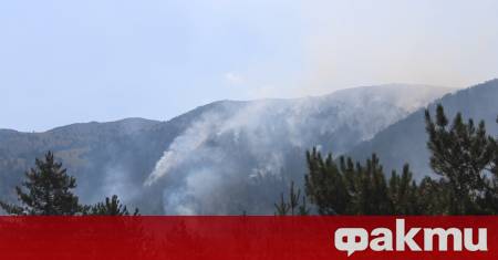 Пореден ден продължава борбата с големите пожари у нас Най тежка