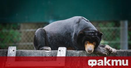 В рамките на японското Министерство на околната среда е създадено