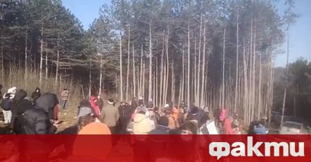 Жители на Варна излязоха на пореден протест срещу изсичането на