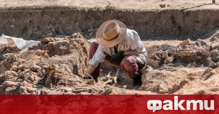 При разкопки в германската провинция Саксония Анхалт археолозите откриха основите на