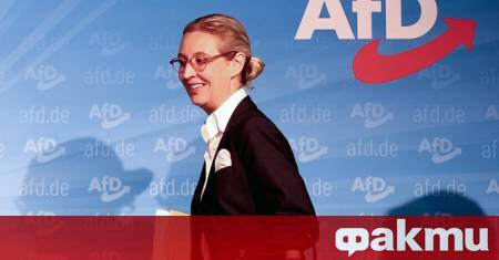 Отчетливо мнозинство от германците смятат че крайнодясната партия Алтернатива за