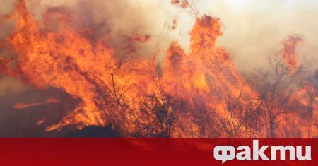 Огромен пожар бушува край Дупница, автомагистрала Струма след пътен възел-Дупница-Бобов