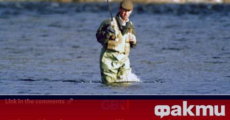 Крал Чарлз III повикал на помощ снайперисти след един от