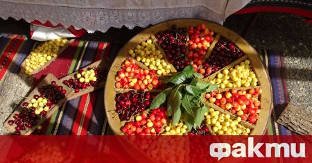 Tрадиционният празник на черешата, който се провежда днес в Кюстендил,