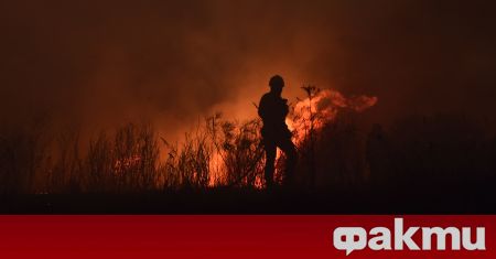 Пожарите в Европейския съюз са изпепелили от януари досега над