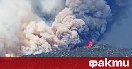 Трима американски огнеборци загинаха а други двама бяха ранени при