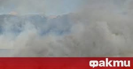 Локализиран е пожарът който възникна вчера следобед край кюстендилското село