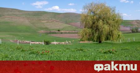 САЩ биха могли да се поучат от развитието на Русия