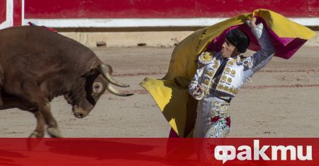 Френските депутати ще обсъждат днес забрана за борбите с бикове