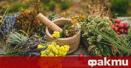 С настъпването на есента и първите студени дни сезонът на