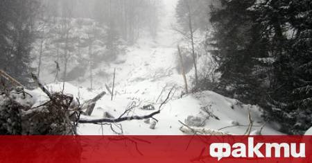 Обилните снеговалежи през последните дни доведоха до повишена лавинна опасност