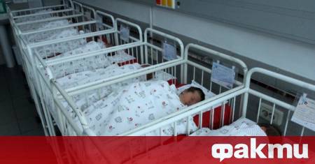 През 2025 г са родени 1397 деца след процедури финансирани