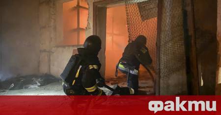 Един човек е загинал а други двама са били ранени