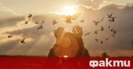 В забързаното ежедневие често търсим сложни решения за постигане на