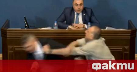 Грузински опозиционен политик беше осъден днес на 13 години затвор