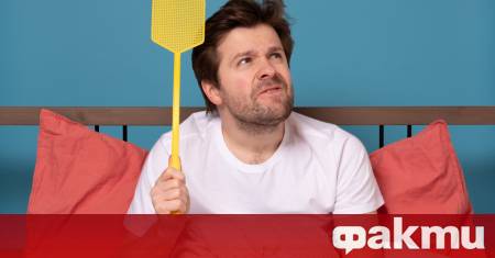 През топлите месеци мухите влизат в домовете ни и ни