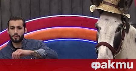 Абсурдът в Къщата на Биг Брадър достигна ново ниво след